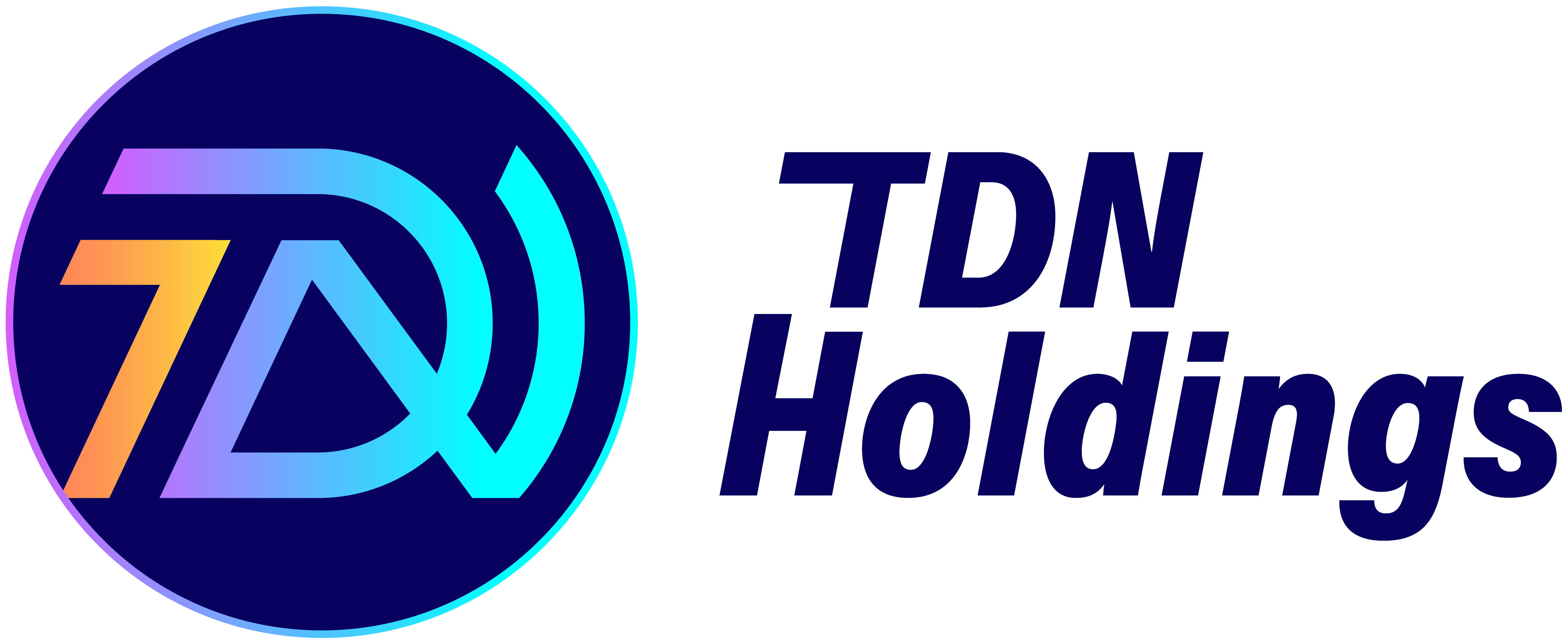 TDN Holdings