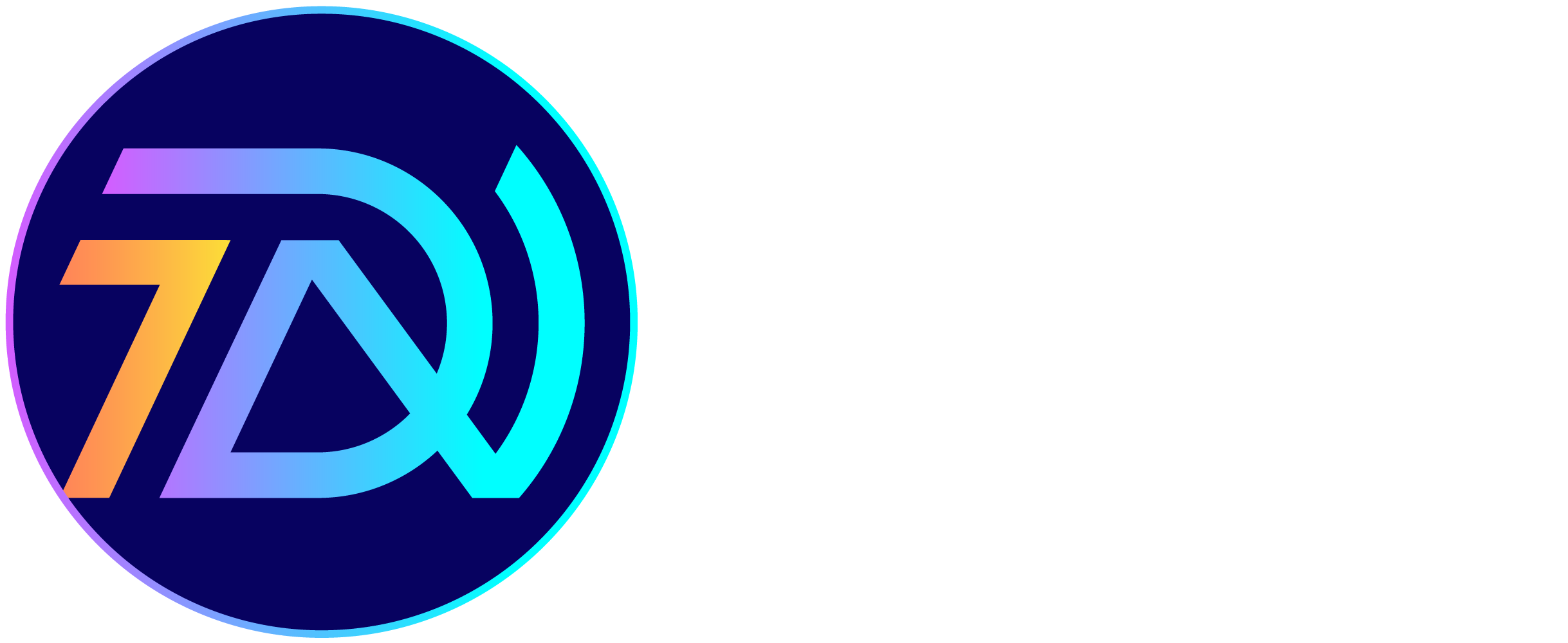 TDN Holdings Logo