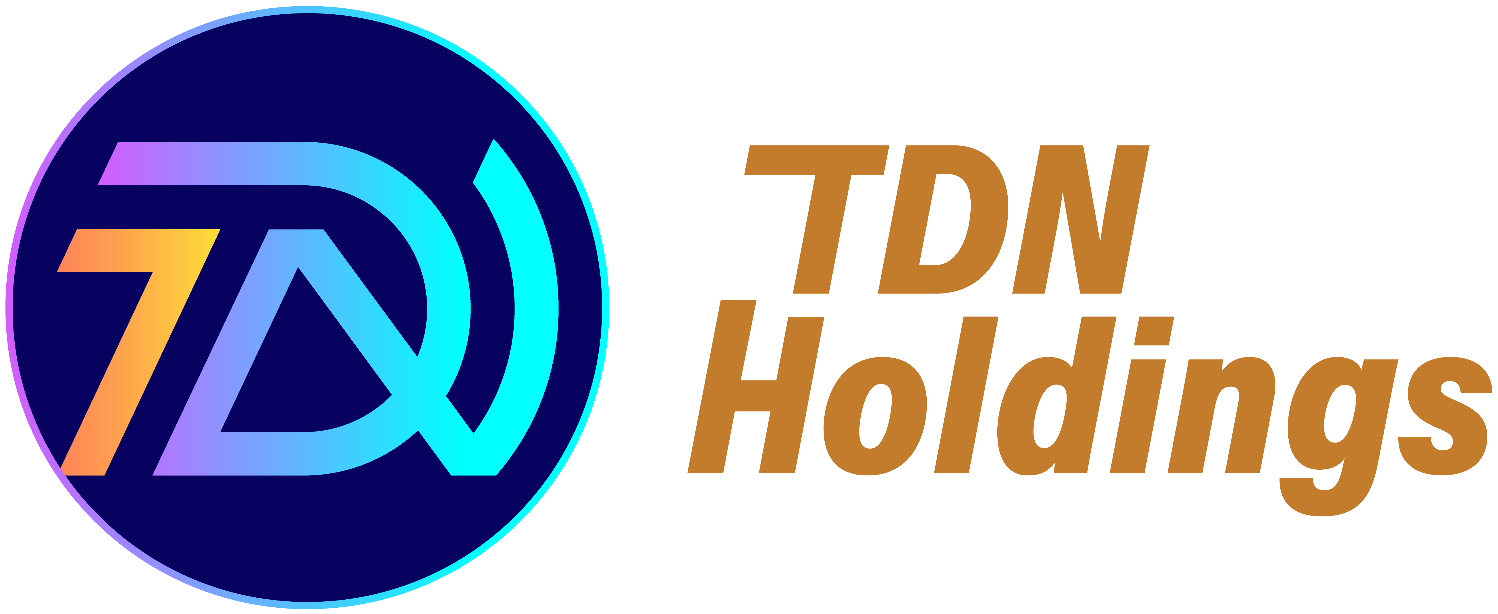 TDN Holdings